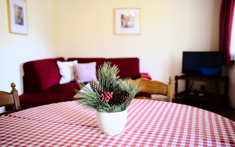 Apartament standardowy — Appartementhaus Habich, Bad Kleinkirchheim