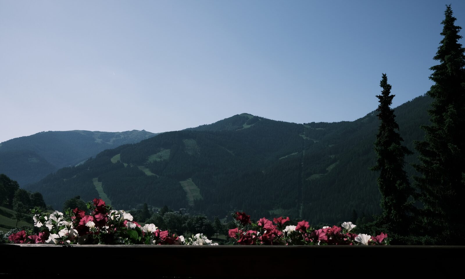 Summer view of the Kaiserburg mountains